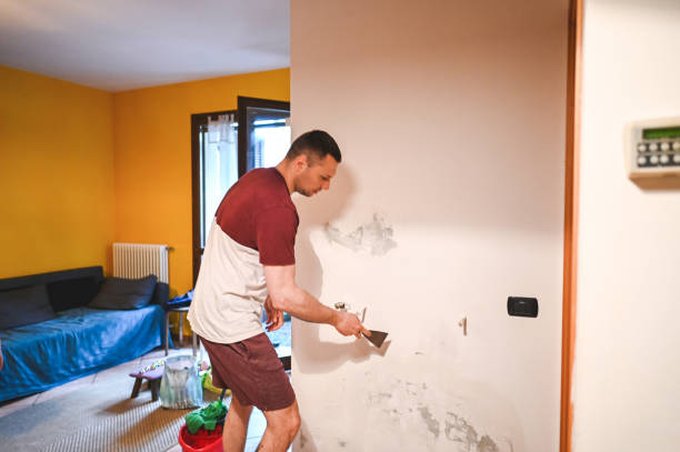 Best Attic Mold Removal  in La Huerta, NM