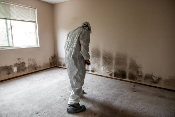 Best Crawl Space Mold Removal  in La Huerta, NM